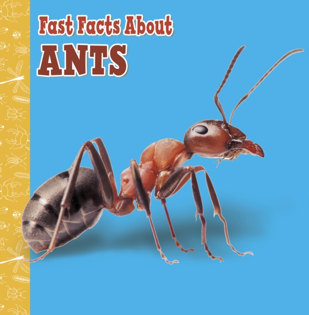 Fast Facts About Ants, Paperback / softback Book