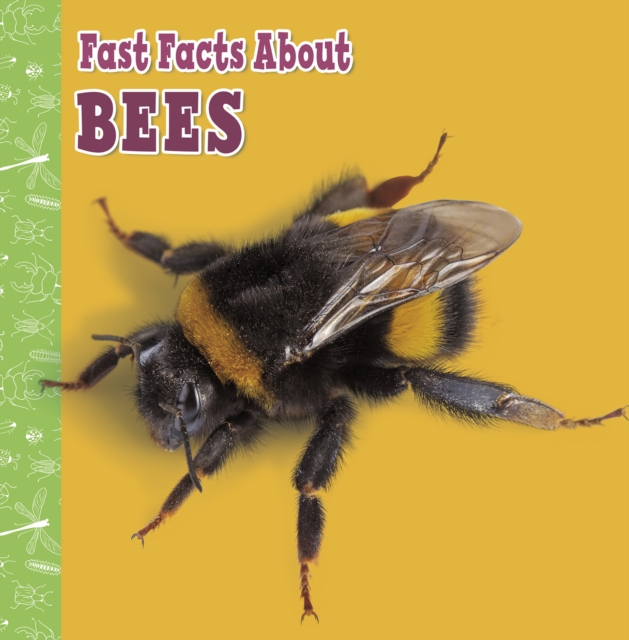 Fast Facts About Bees, Paperback / softback Book
