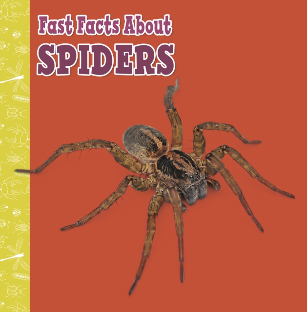 Fast Facts About Spiders, Paperback / softback Book