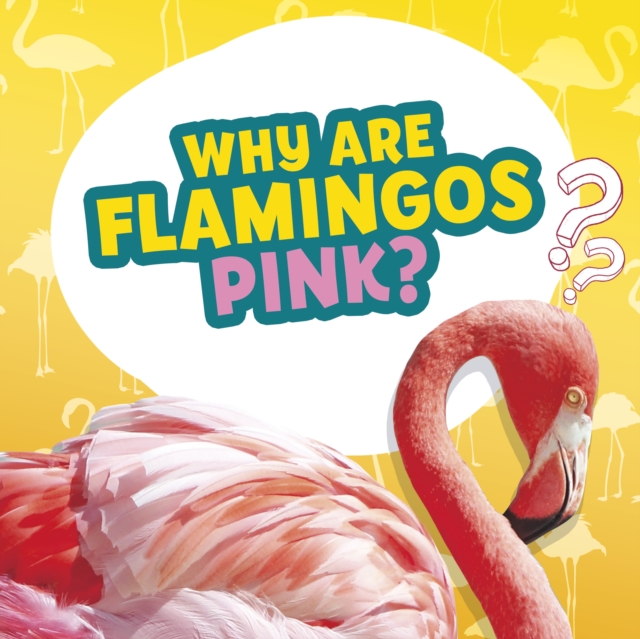 Why Are Flamingos Pink?, Paperback / softback Book