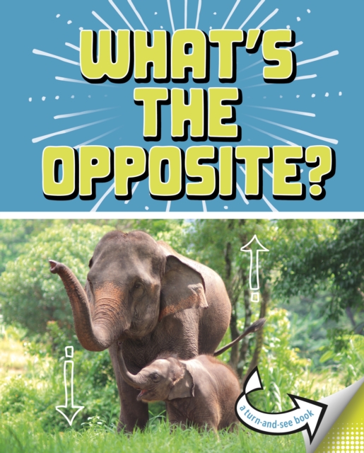 What's the Opposite? : A Turn-and-See Book, Paperback / softback Book
