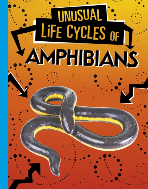 Unusual Life Cycles of Amphibians, Hardback Book