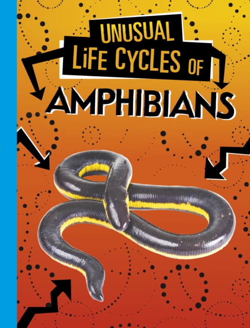 Unusual Life Cycles of Amphibians, Paperback / softback Book