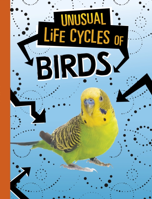 Unusual Life Cycles of Birds, Paperback / softback Book