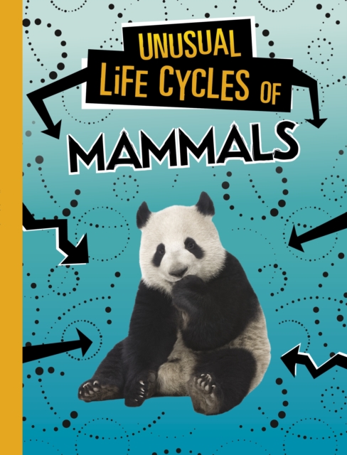 Unusual Life Cycles of Mammals, Paperback / softback Book