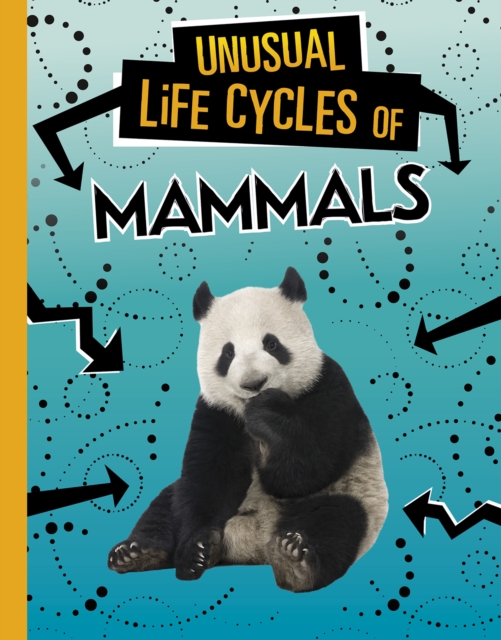 Unusual Life Cycles of Mammals, Hardback Book