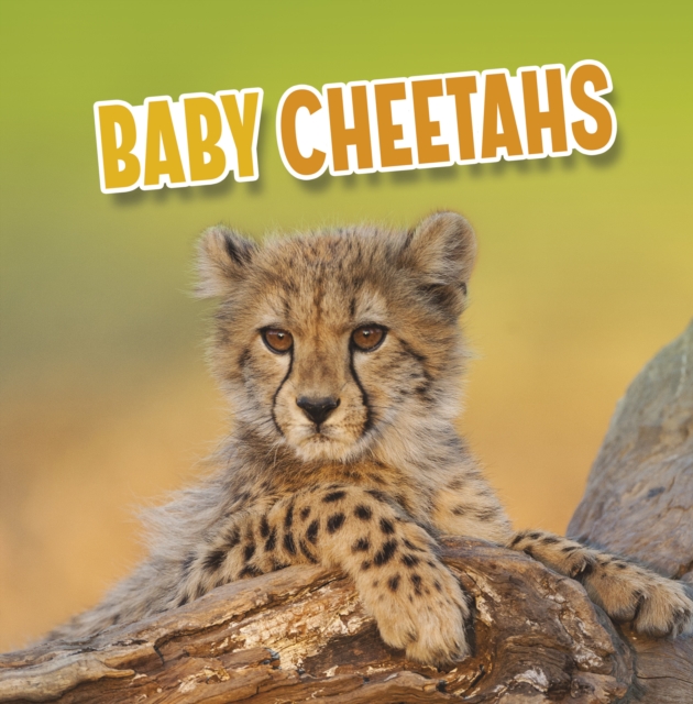 Baby Cheetahs, Hardback Book