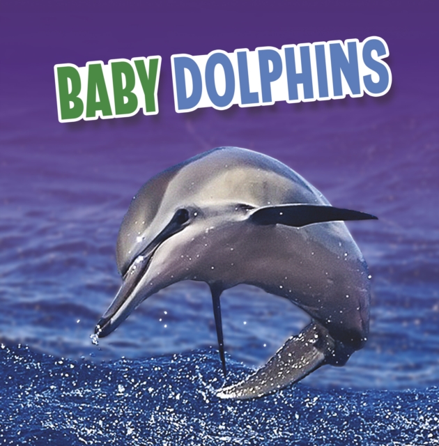 Baby Dolphins, Hardback Book