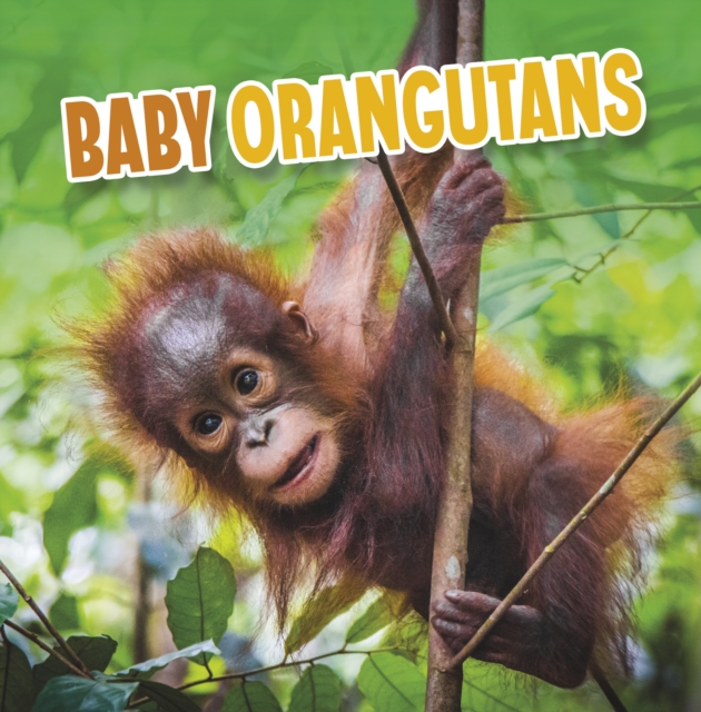 Baby Orangutans, Paperback / softback Book