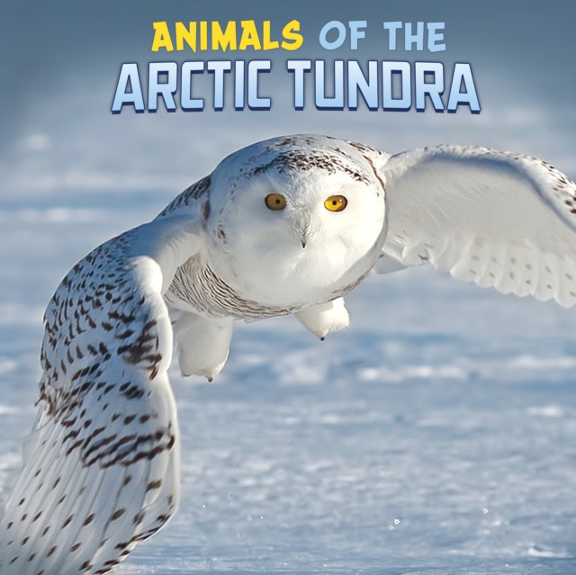 Animals of the Arctic Tundra, Hardback Book