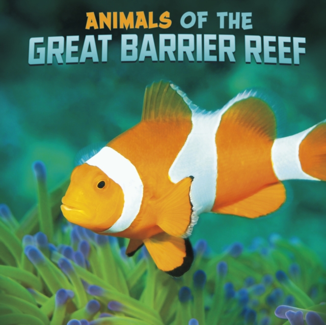 Animals of the Great Barrier Reef, Hardback Book