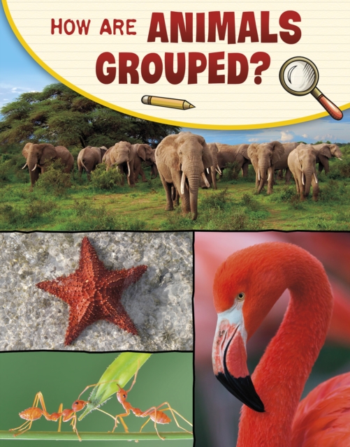How Are Animals Grouped?, Hardback Book