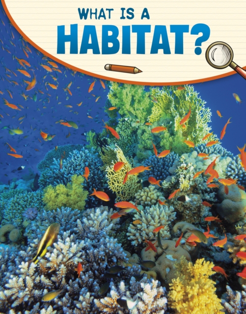What Is a Habitat?, Paperback / softback Book