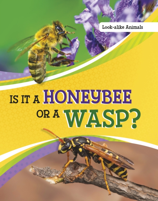 Is It a Honeybee or a Wasp?, Paperback / softback Book