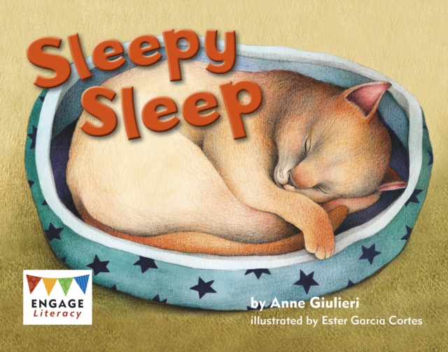 Sleepy Sleep, Paperback / softback Book