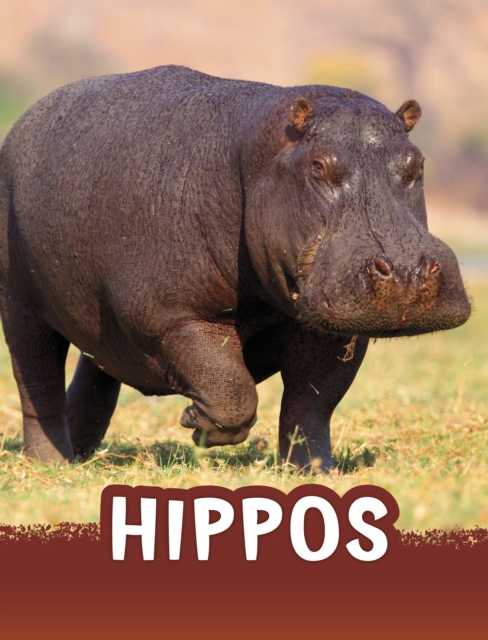 HIPPOS, Hardback Book