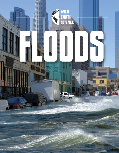 Floods, Hardback Book