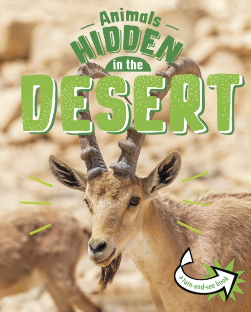 Animals Hidden in the Desert, Hardback Book