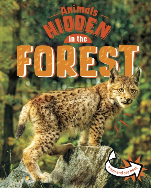 Animals Hidden in the Forest, Hardback Book
