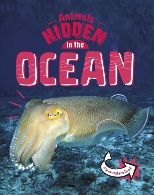 Animals Hidden in the Ocean, Paperback / softback Book