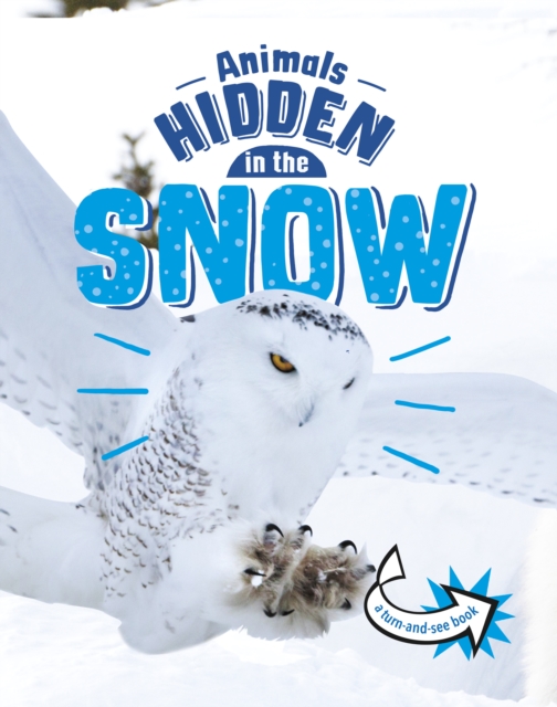 Animals Hidden in the Snow, Paperback / softback Book