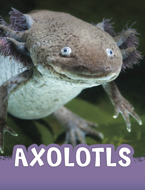 Axolotls, Hardback Book