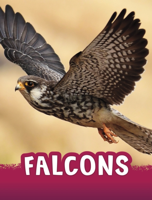 Falcons, Hardback Book