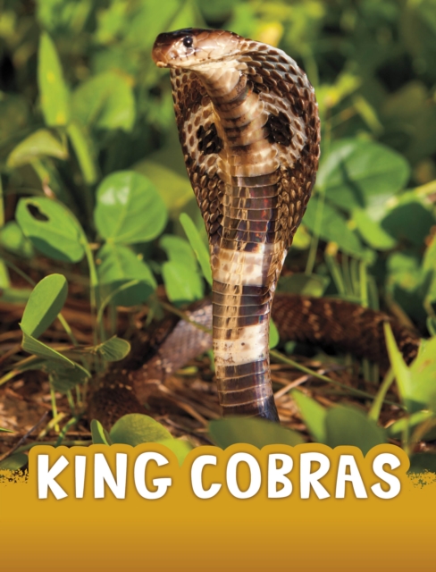 King Cobras, Hardback Book