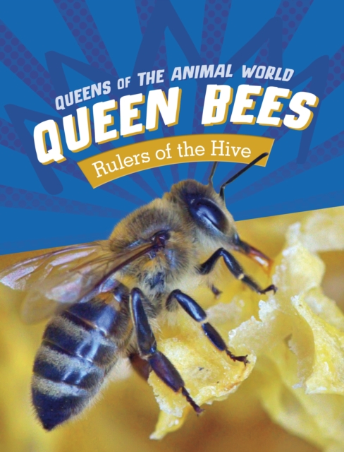 Queen Bees : Rulers of the Hive, Paperback / softback Book
