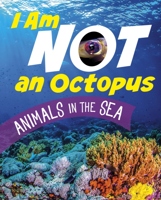 I Am Not an Octopus : Animals in the Ocean, Paperback / softback Book