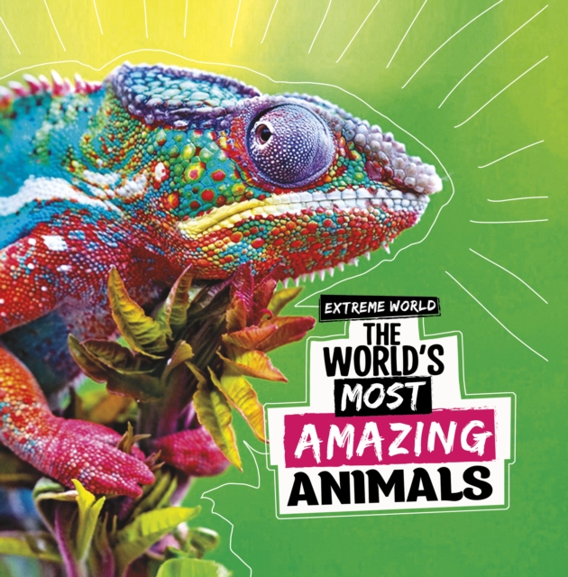 The World's Most Amazing Animals, Hardback Book