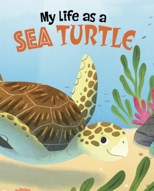 My Life as a Sea Turtle, Hardback Book