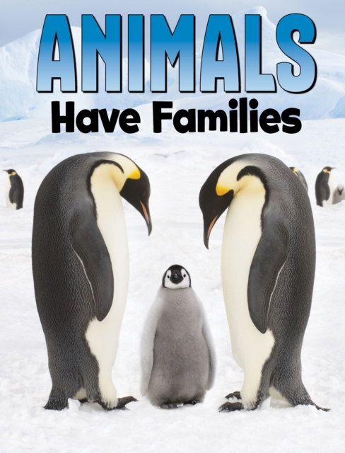 Animals Have Families, Hardback Book