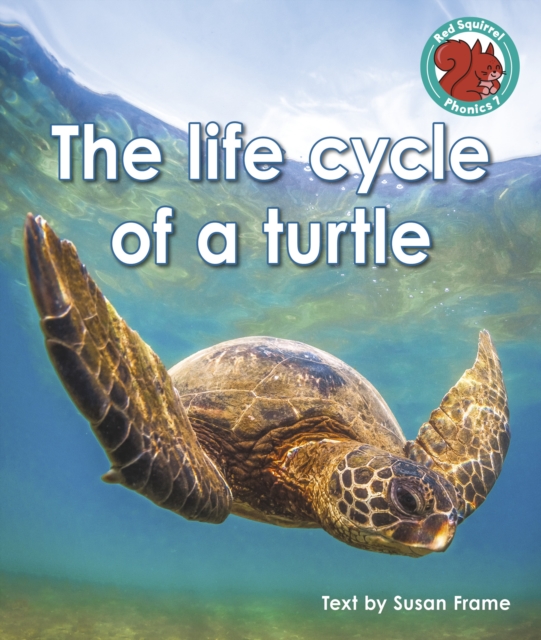 The life cycle of a turtle, Paperback / softback Book