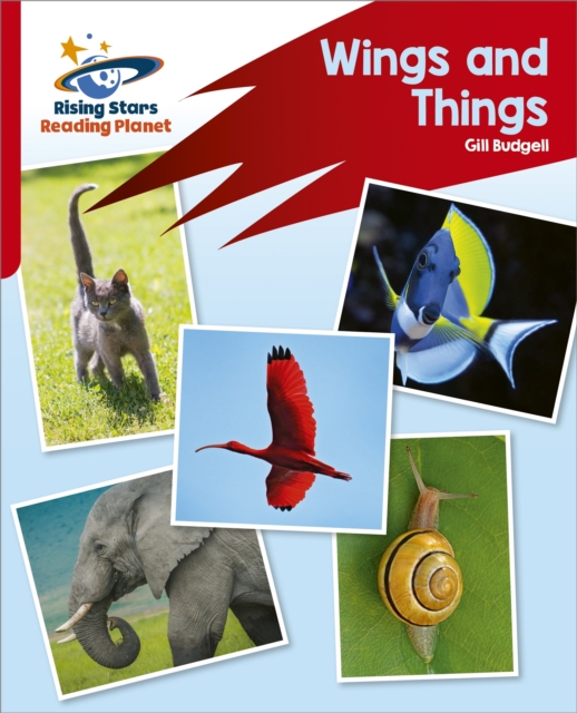 Reading Planet: Rocket Phonics   Target Practice   Wings and Things   Red B, EPUB eBook