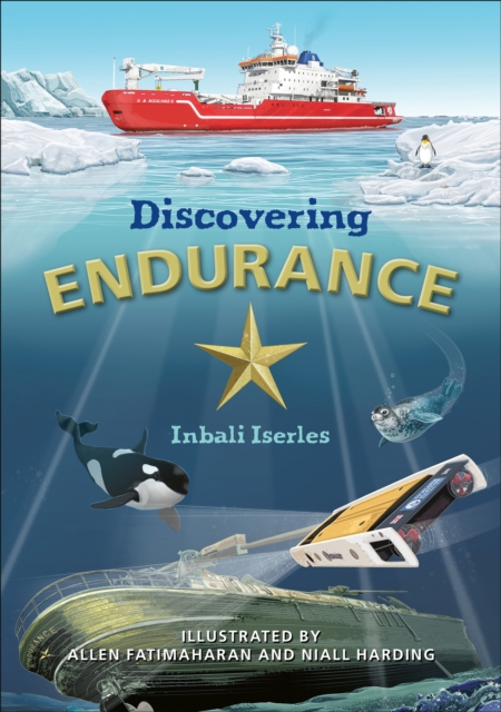 Reading Planet KS2: Discovering Endurance - Earth/Grey, Paperback / softback Book
