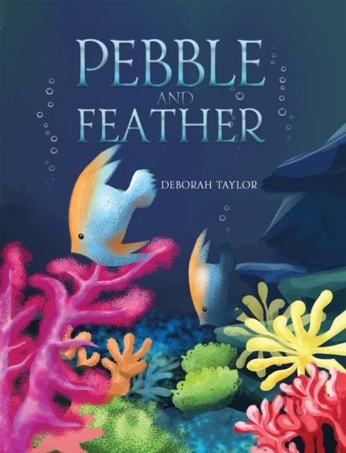 Pebble and Feather, Paperback / softback Book