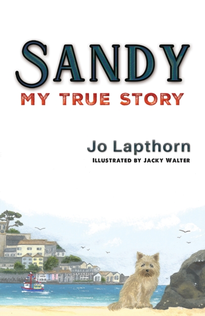 Sandy : My True Story, EPUB eBook