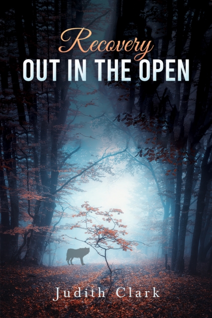 Recovery: Out in the Open, EPUB eBook