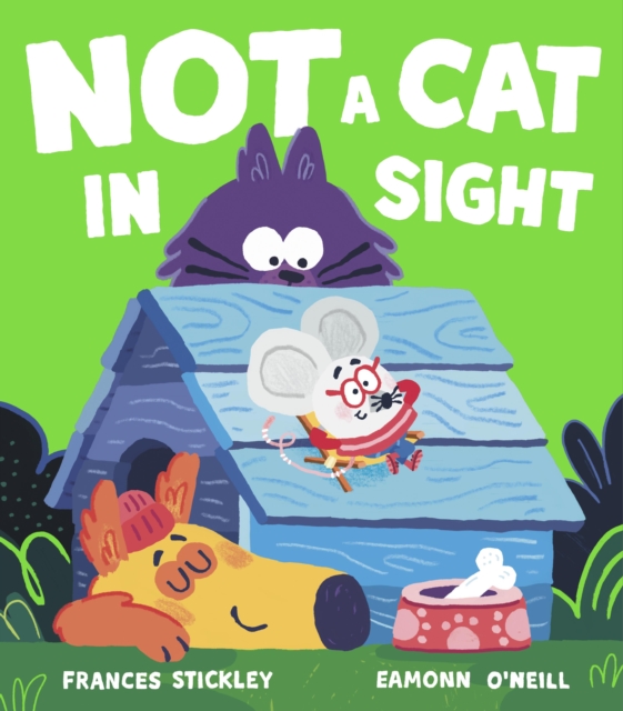 Not a Cat In Sight, Paperback / softback Book