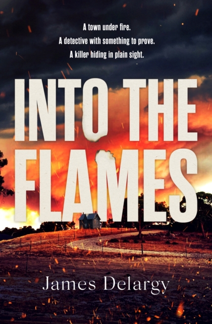Into the Flames : The scorching new summer thriller, Paperback / softback Book