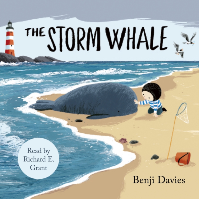 The Storm Whale, eAudiobook MP3 eaudioBook