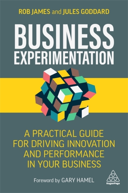 Business Experimentation : A Practical Guide for Driving Innovation and Performance in Your Business, Paperback / softback Book