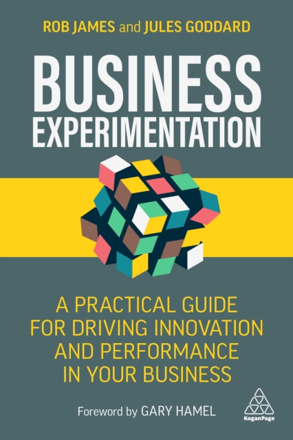 Business Experimentation : A Practical Guide for Driving Innovation and Performance in Your Business, EPUB eBook
