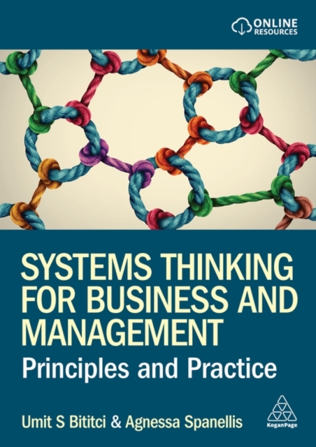 Systems Thinking for Business and Management : Principles and Practice, Paperback / softback Book