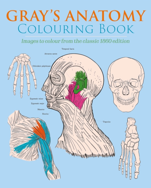 Gray's Anatomy Colouring Book : Images to Colour from the Classic 1860 Edition, Paperback / softback Book