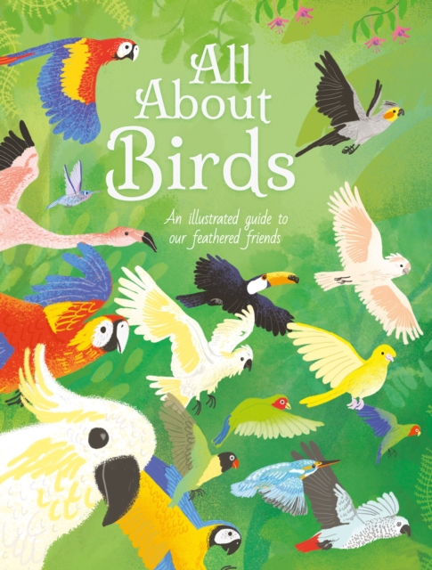 All About Birds : An Illustrated Guide to Our Feathered Friends, Hardback Book
