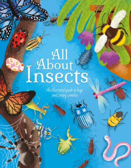 All About Insects : An illustrated guide to bugs and creepy-crawlies, Hardback Book