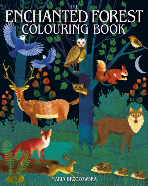 The Enchanted Forest Colouring Book, Paperback / softback Book