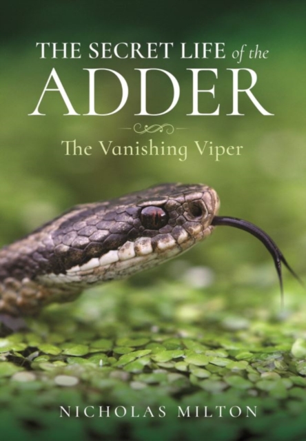The Secret Life of the Adder : The Vanishing Viper, Hardback Book
